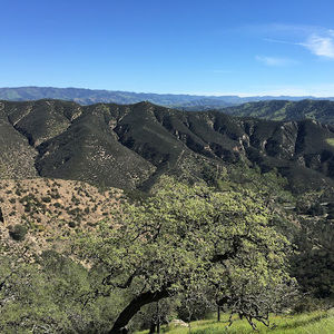 Meet your Posher, Emanuel5593638